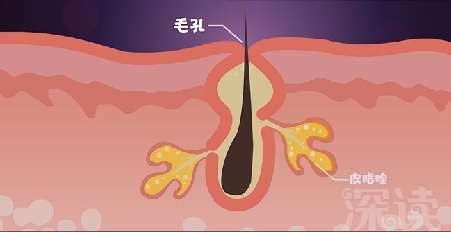 做赠卵试管婴儿需要多长时间才能怀孕？(1)